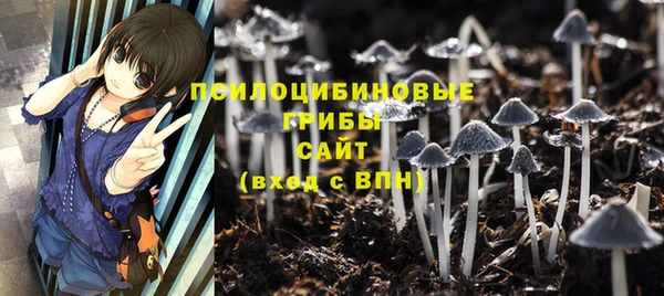 apvp Зеленодольск