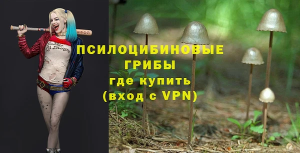 трава Зеленокумск