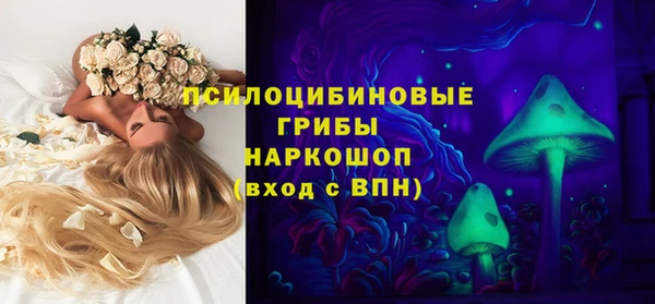apvp Зеленодольск